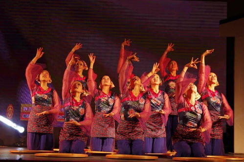 草根藝術(shù)團(tuán)綻芳華 順德社區(qū)巡演三載情，央視舞臺(tái)展風(fēng)采